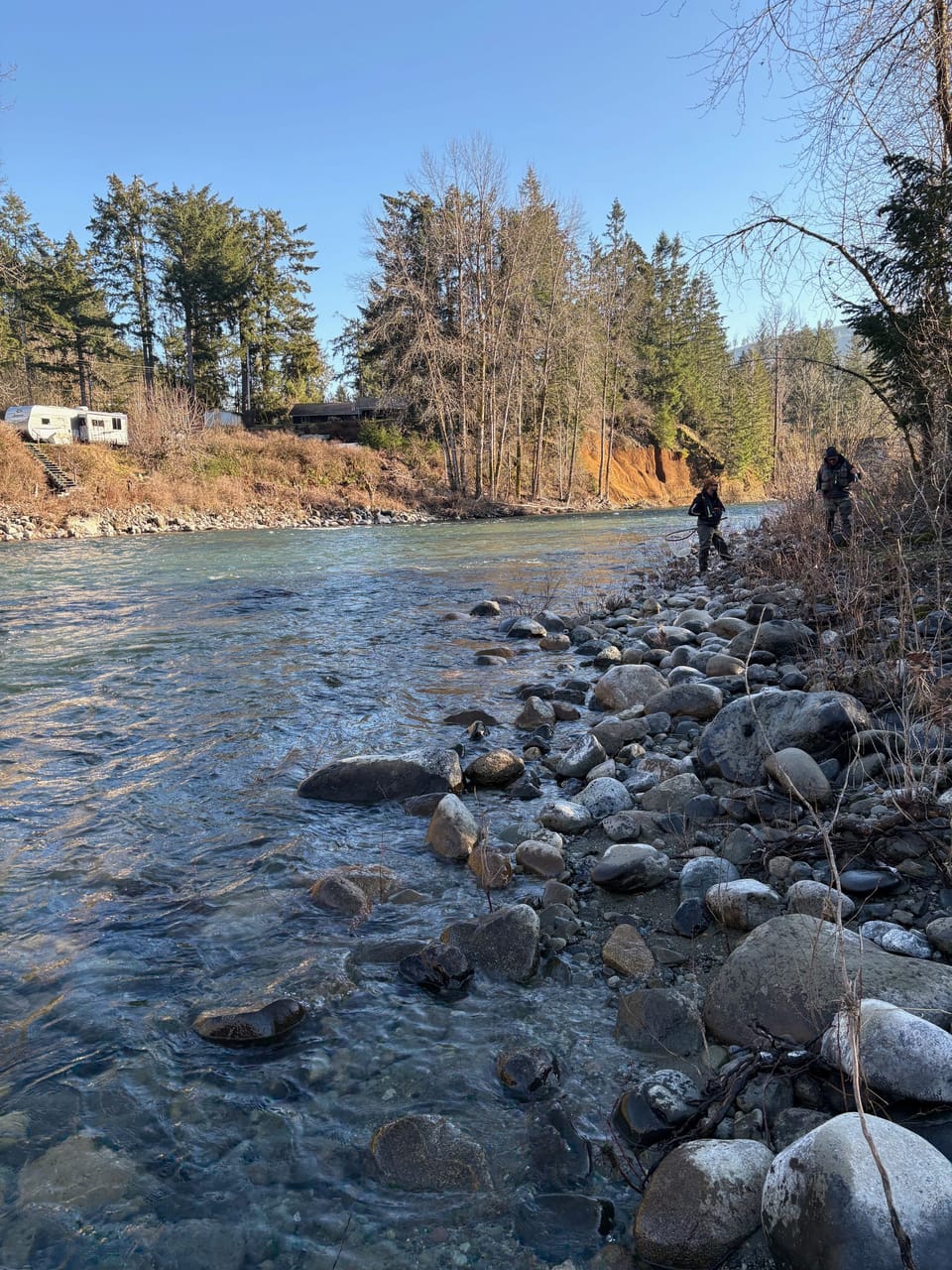 Hire a winter steelhead guide, catch more steelhead